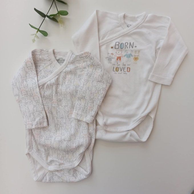 Lot de 2 bodies manches longues 6 mois