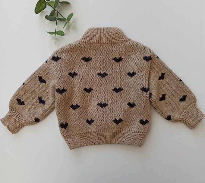 Pull 12-18 mois