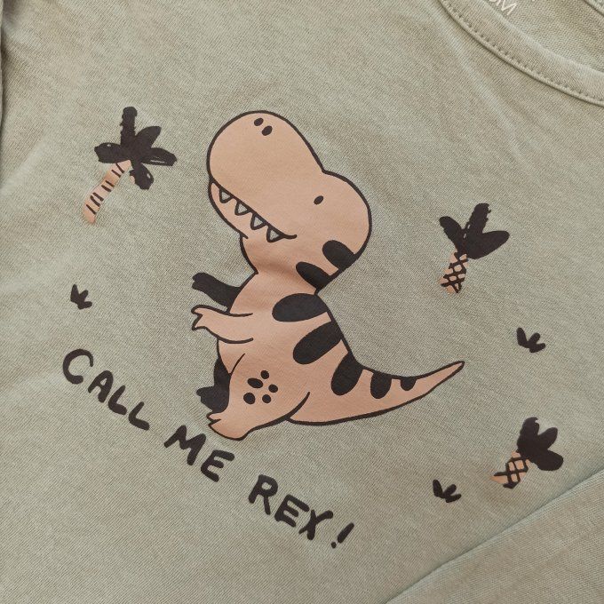 Tee-shirt manches longues 18 mois