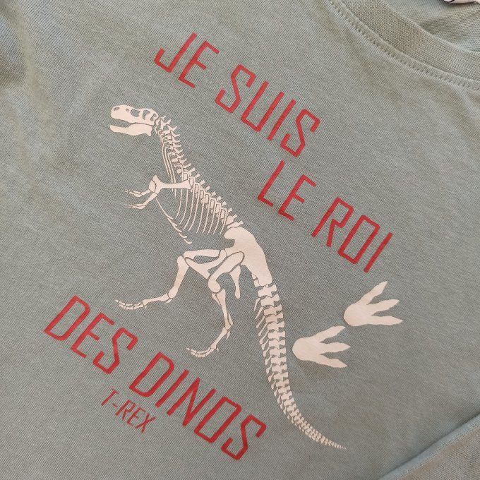 Tee-shirt manches longues 5 ans